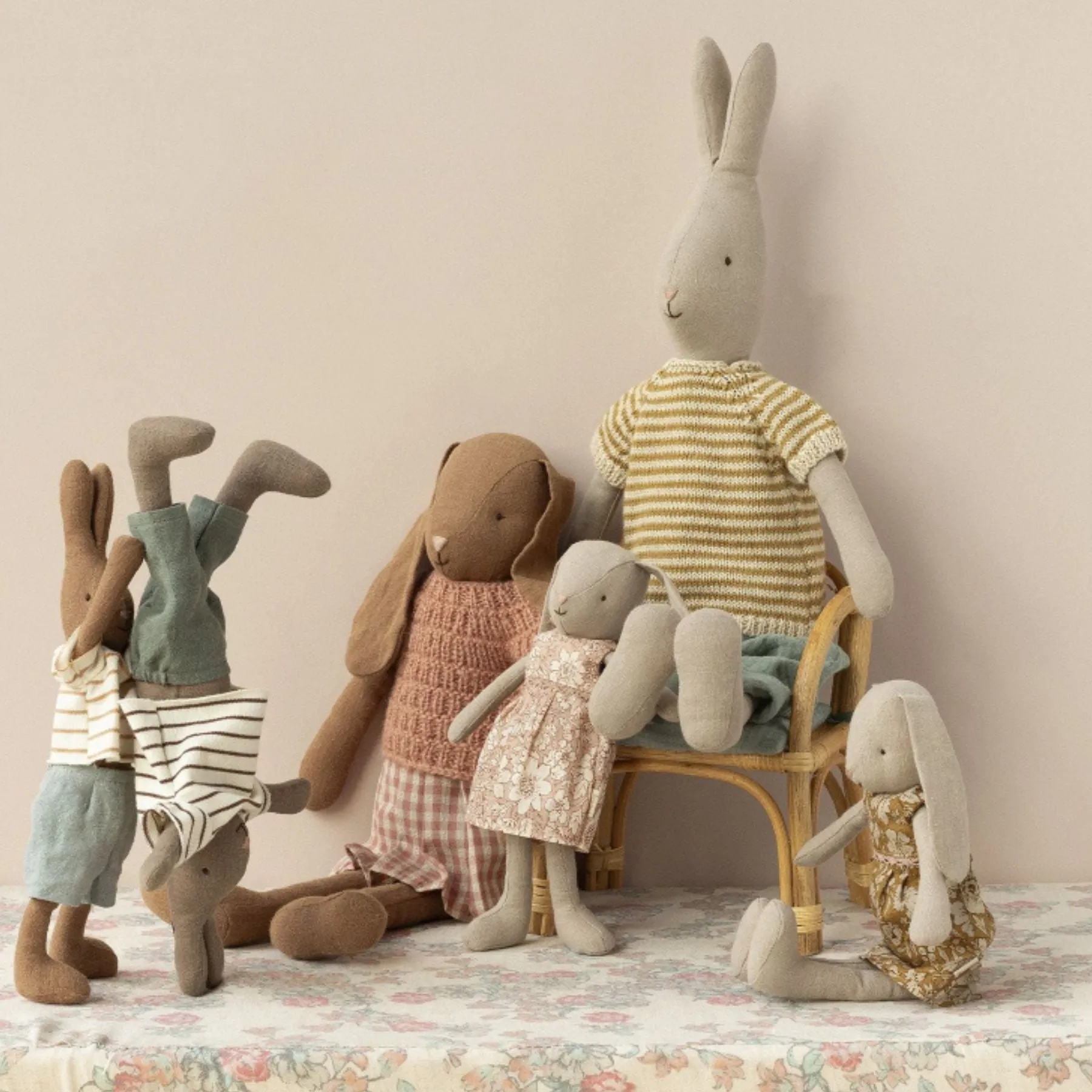 Rabbit Size 1, Chocolate Brown, Striped Blouse   Shorts