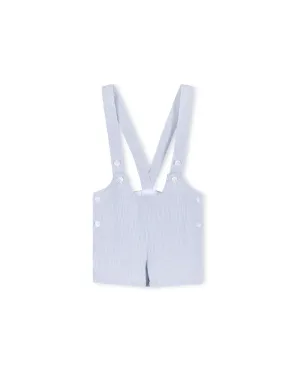 Striped Tone On Tone Button Overalls