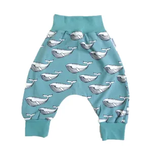 Whale - Aqua